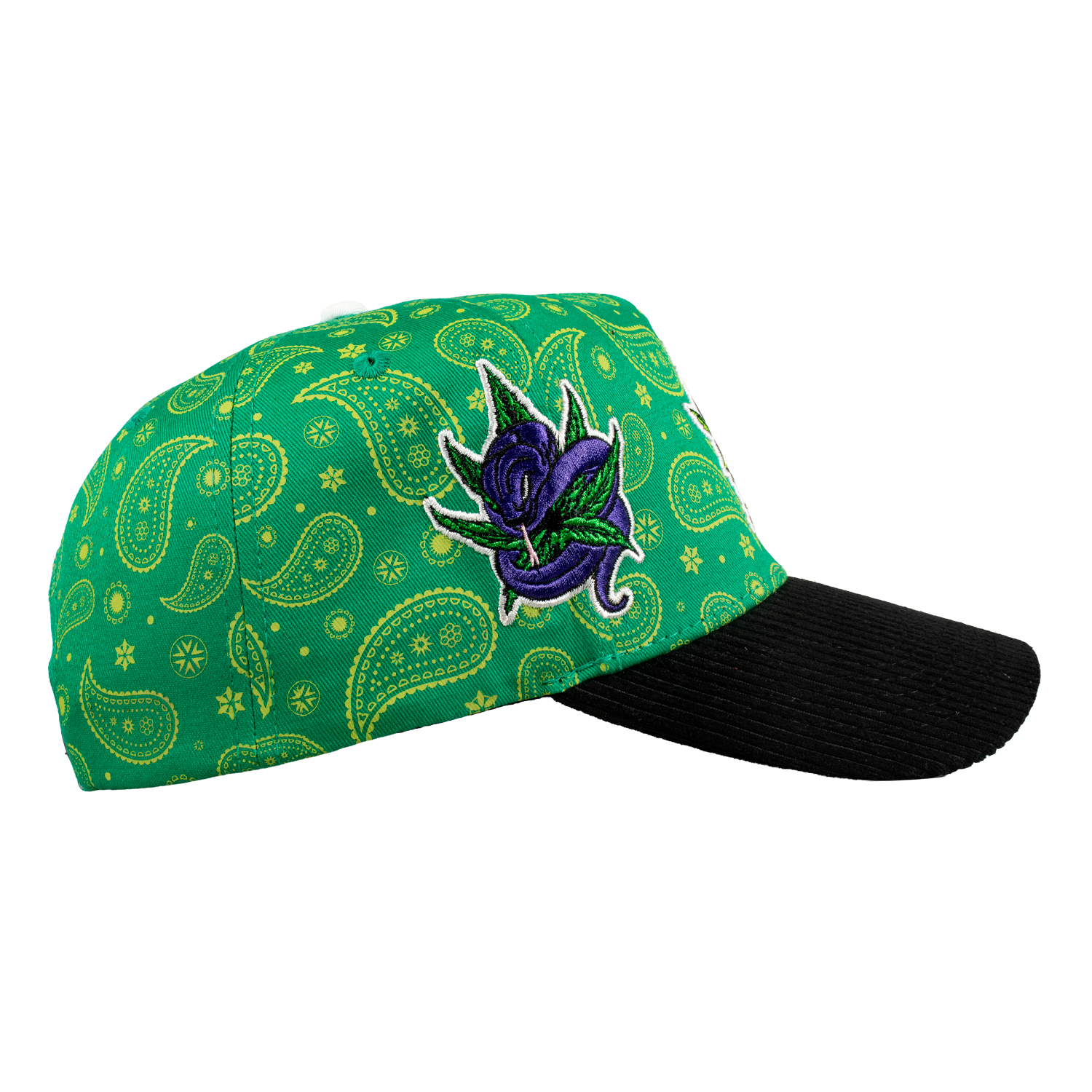 Paisley High Life