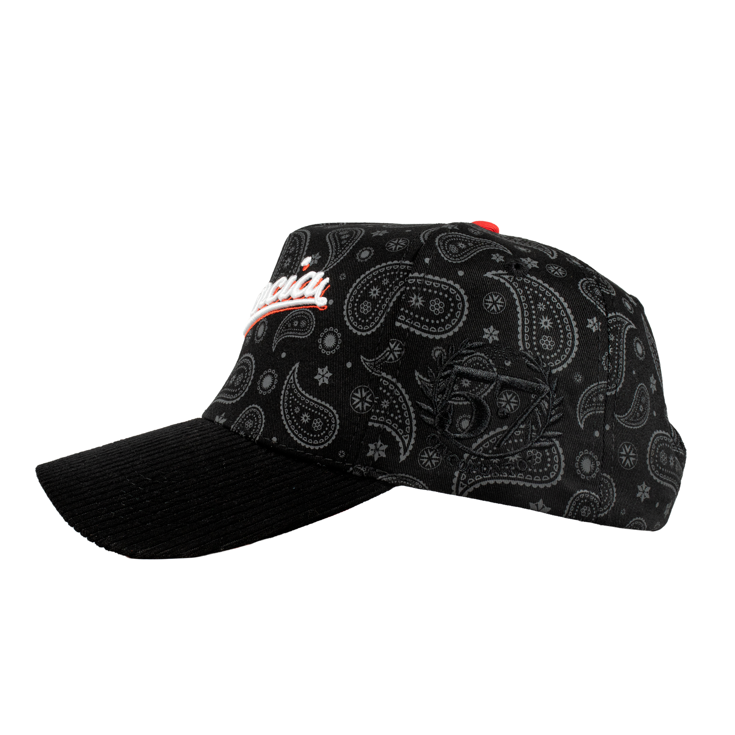 Paisley Vagancia World Series