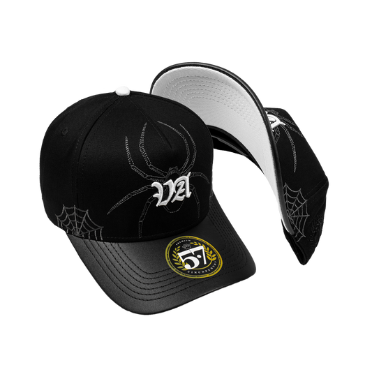 VA Spider Black Curva