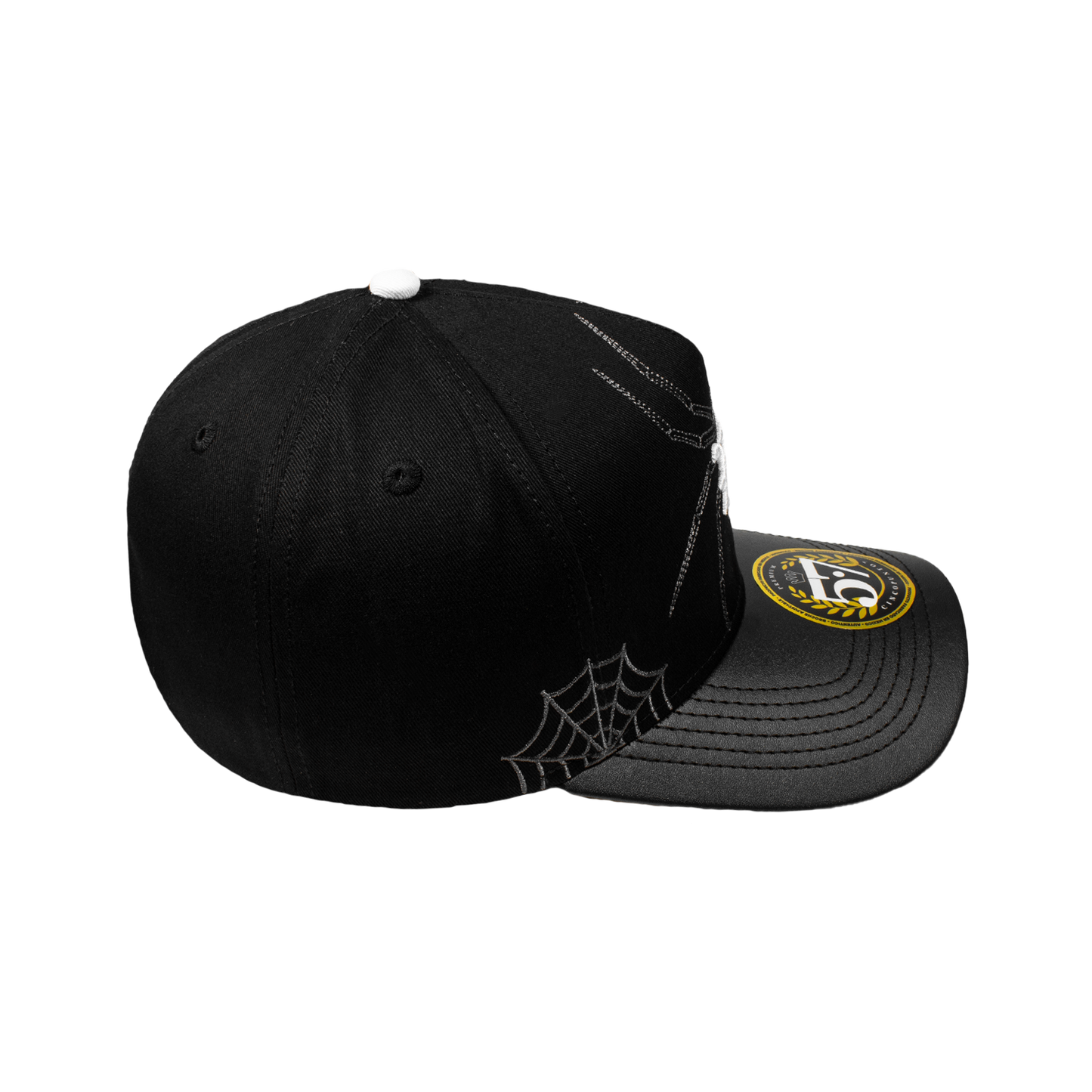 VA Spider Black Curva