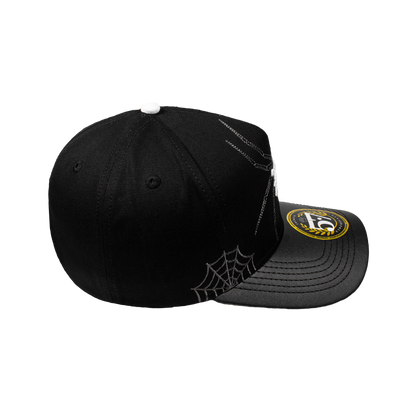 VA Spider Black Curva