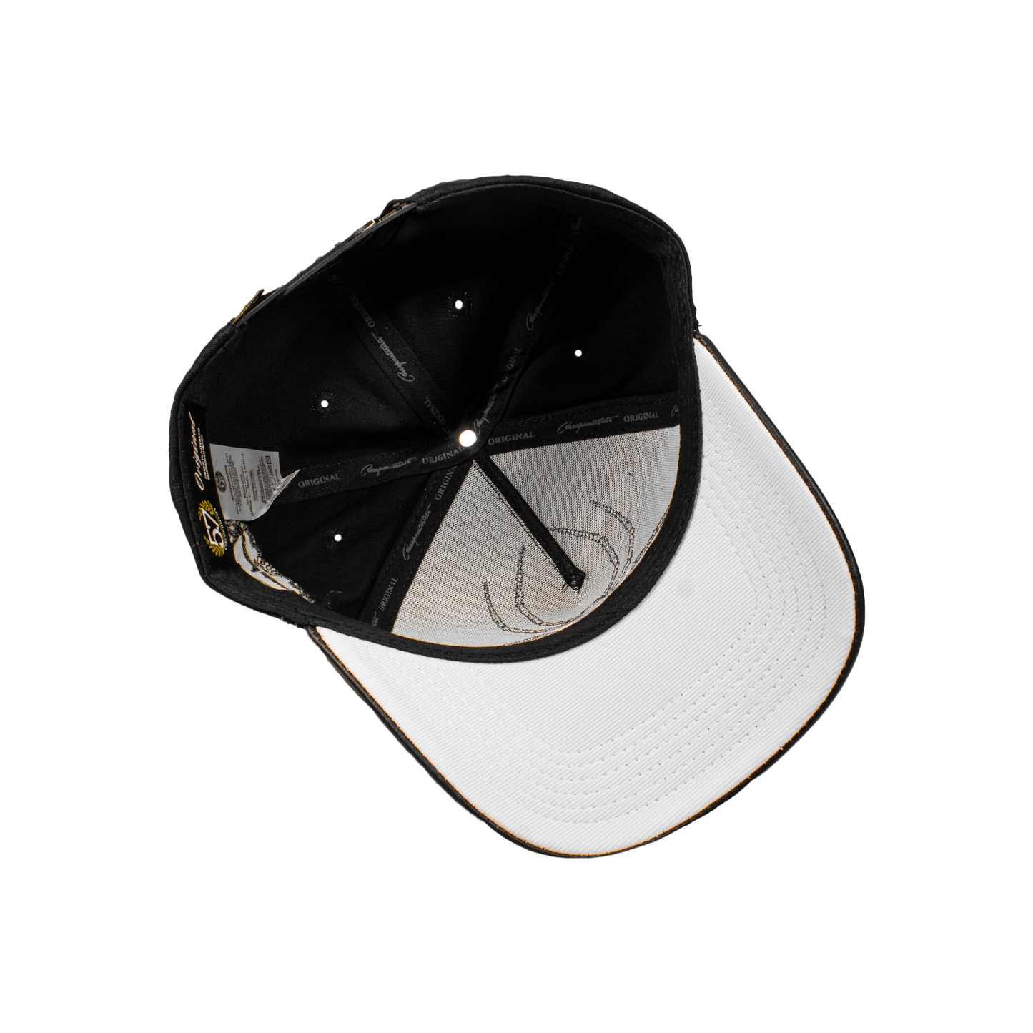 VA Spider Black Curva