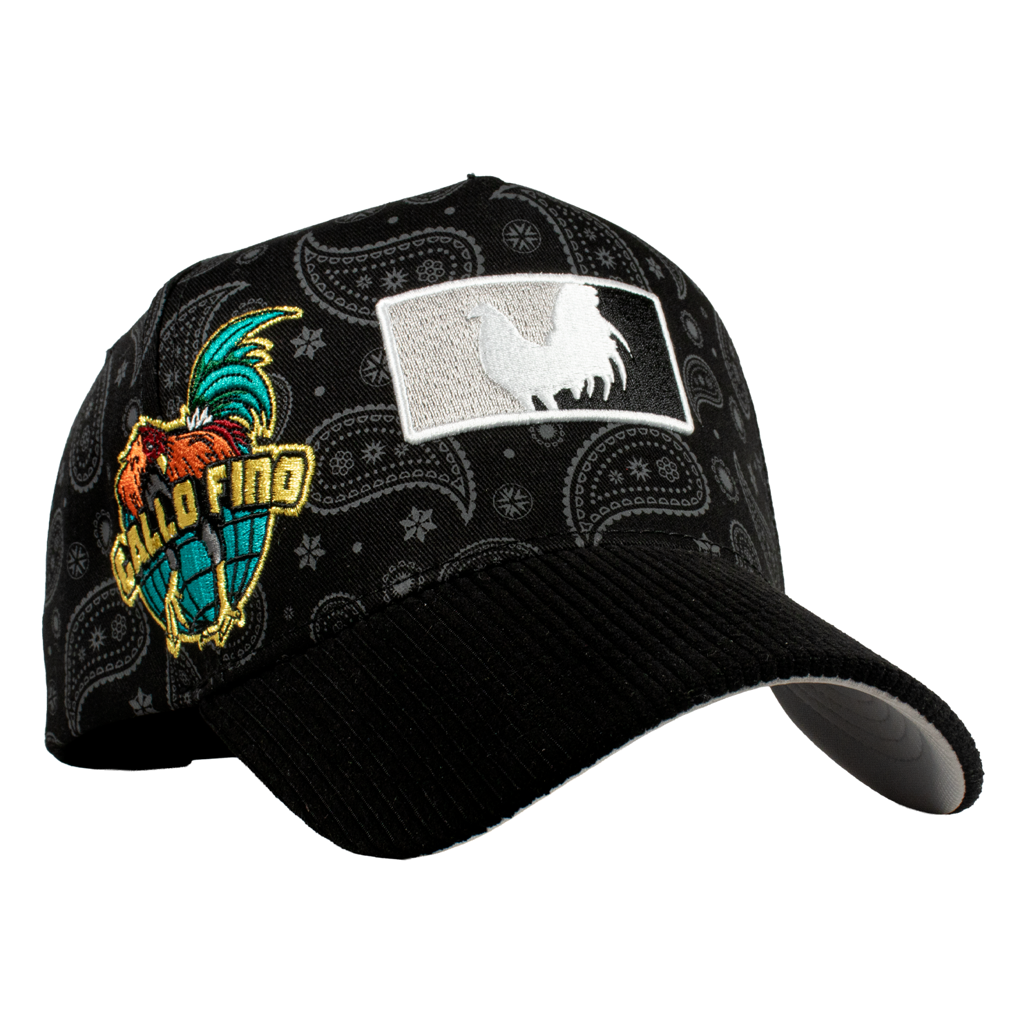 Paisley Gallo Beisbol World Series