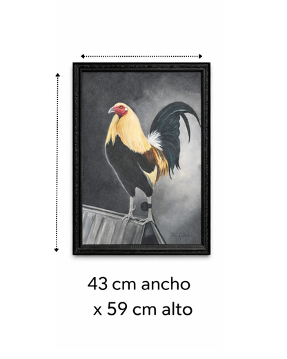 Cuadro Gallo Champion  (Edición Especial)