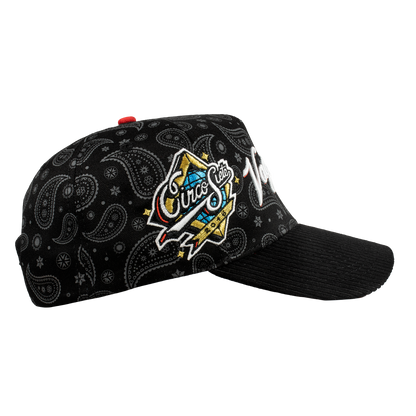 Paisley Vagancia World Series