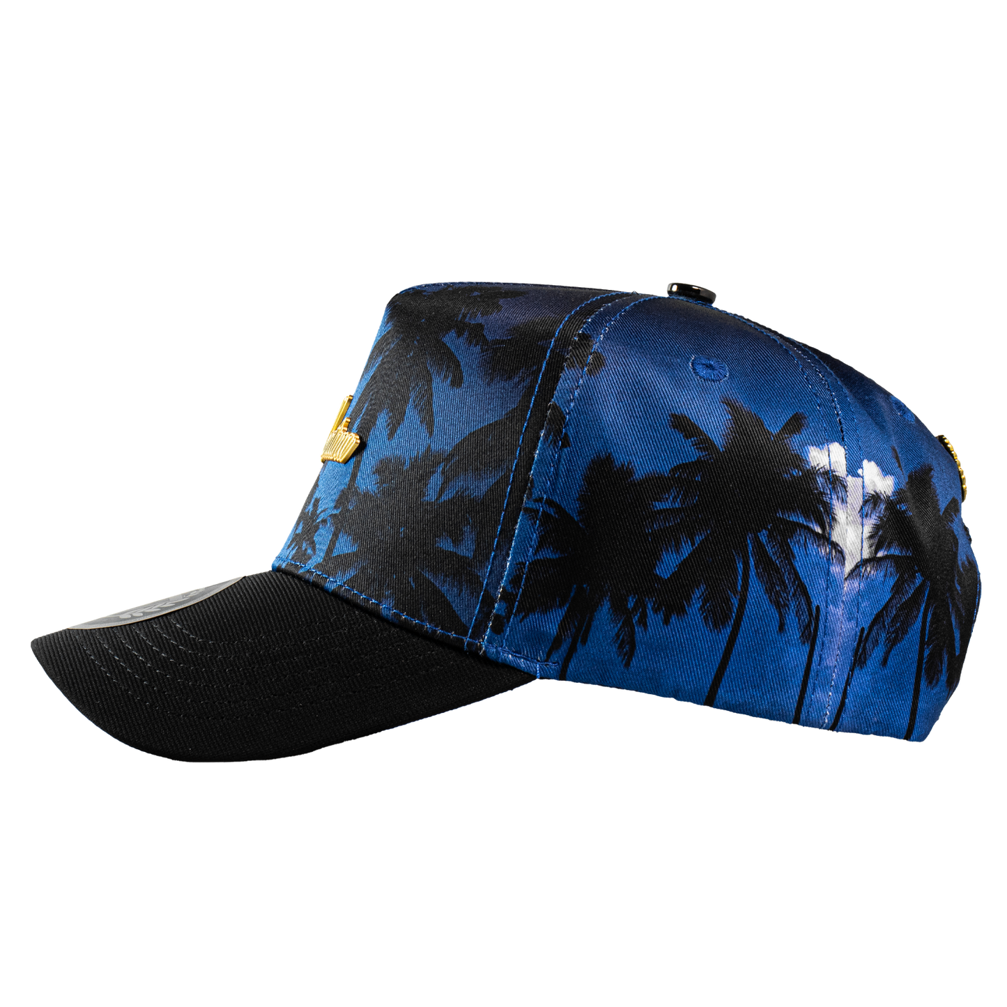 Placa Montana Palmeras Blue & Red