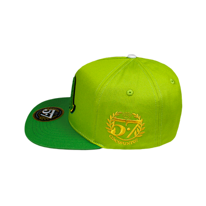 Vagancia Chenill Verde