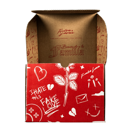 Full Set Fake Love (caja, cubre polvo y llavero)
