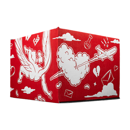 Full Set Fake Love (caja, cubre polvo y llavero)