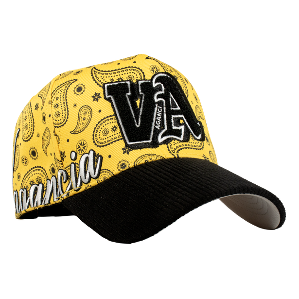 VA Paliacate