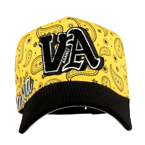 VA Paliacate