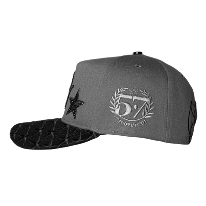 FVSVN Stars Luxury Gray