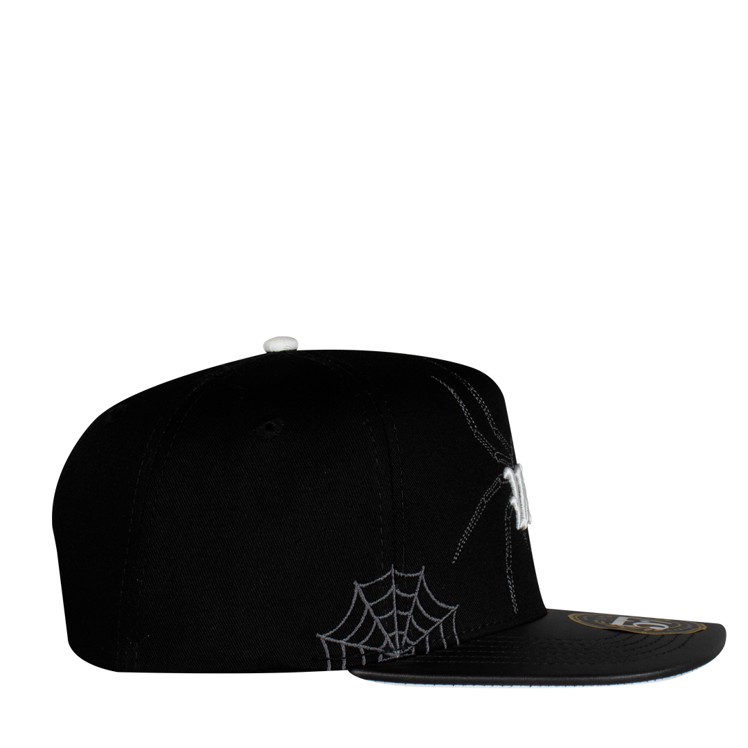 VA Spider Plana