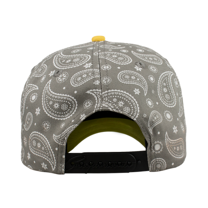 Grandes Ligas Beisbol Paliacate