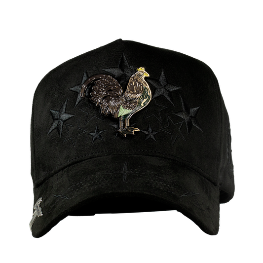 Black Star Rooster Fight