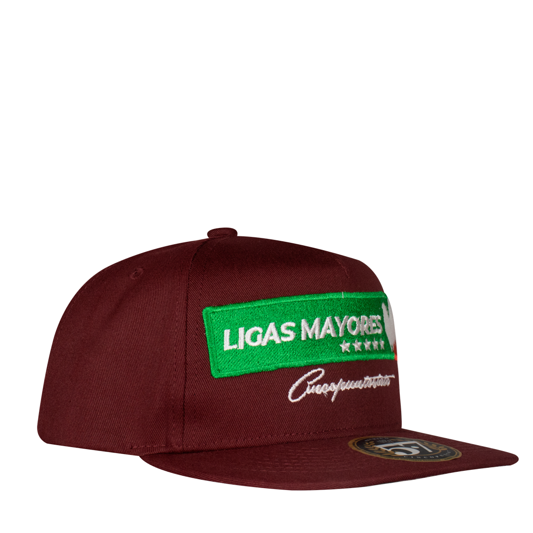 Ligas Mayores Aplic Mex