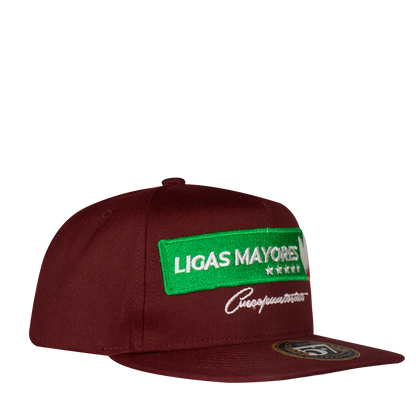 Ligas Mayores Aplic Mex