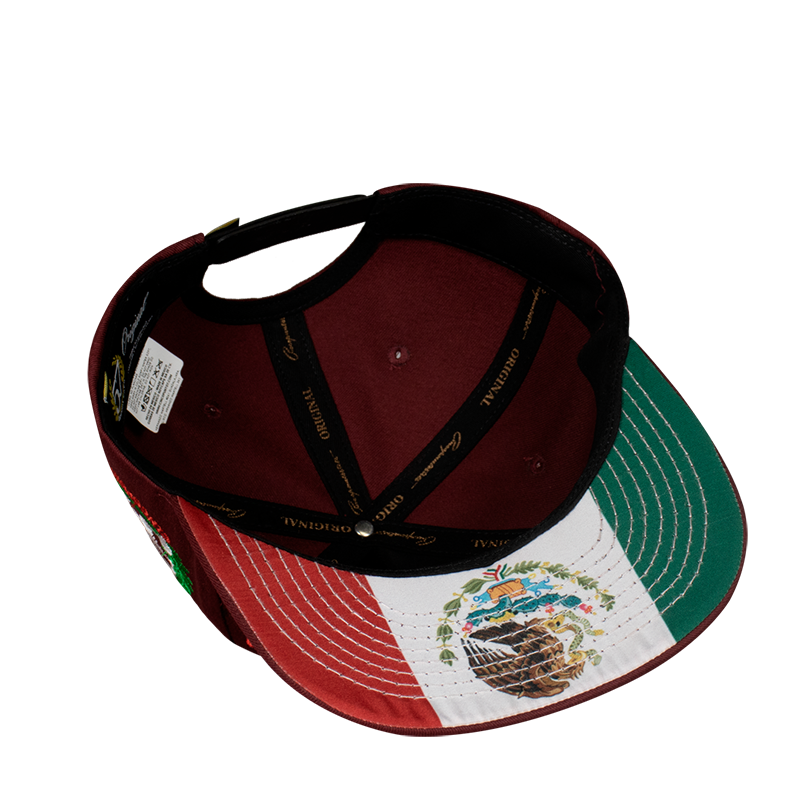 Ligas Mayores Aplic Mex