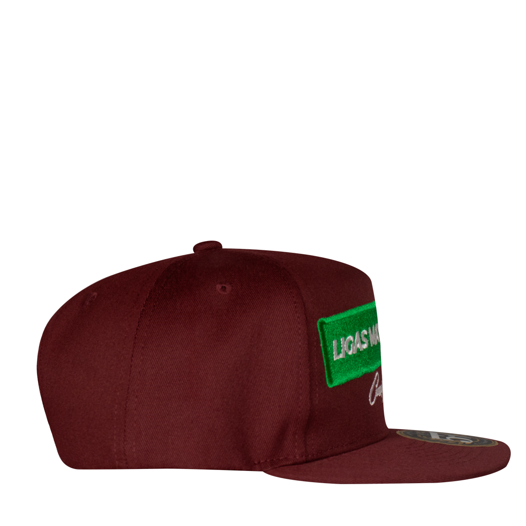 Ligas Mayores Aplic Mex