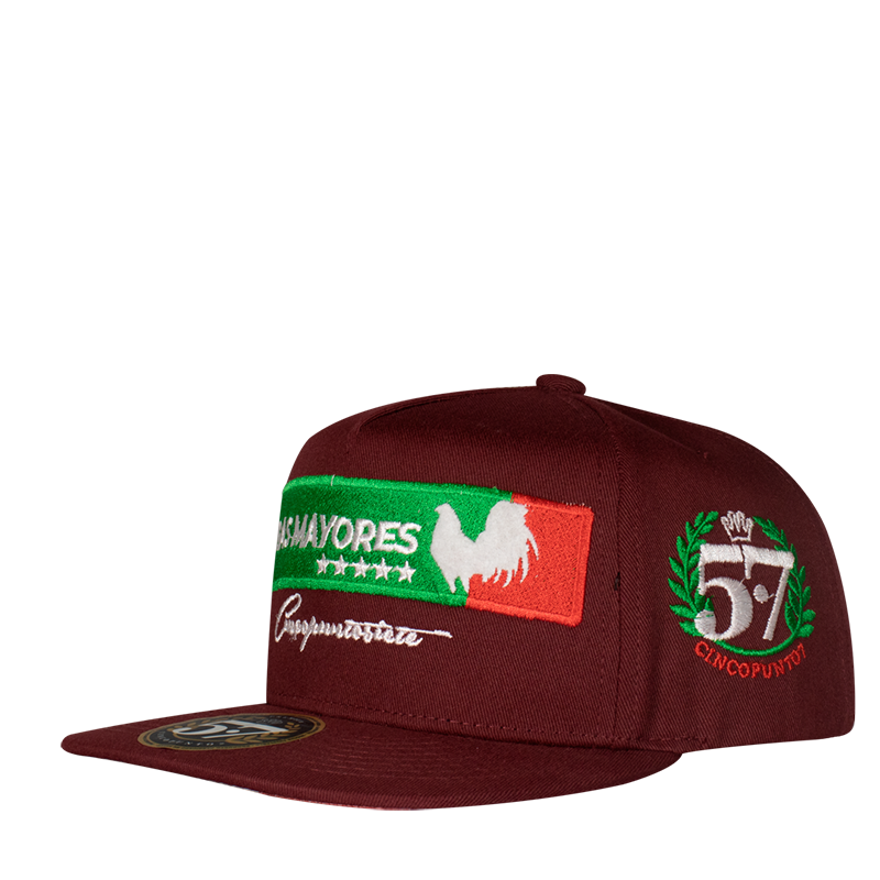 Ligas Mayores Aplic Mex