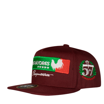 Ligas Mayores Aplic Mex