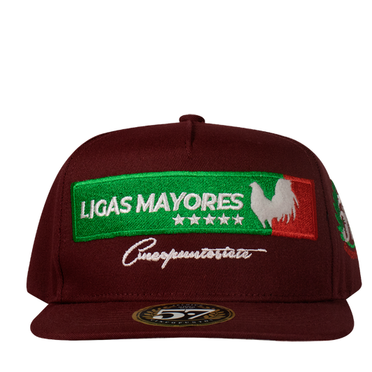 Ligas Mayores Aplic Mex