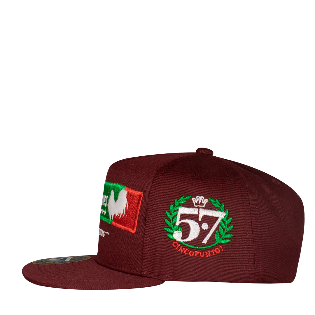 Ligas Mayores Aplic Mex