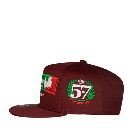 Ligas Mayores Aplic Mex