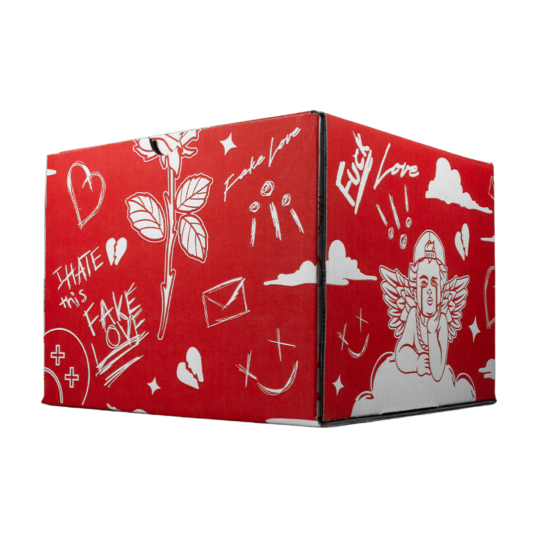 Full Set  Fake Love  (Caja,cubre polvo y llavero)