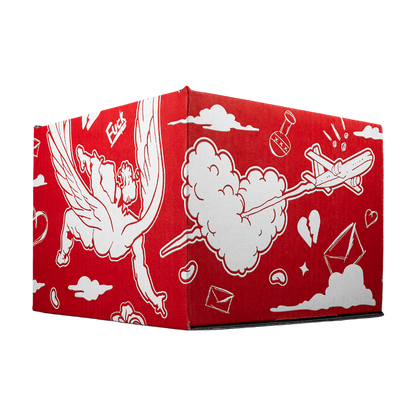 Full Set  Fake Love  (Caja,cubre polvo y llavero)