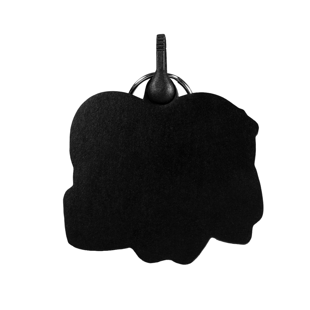 Full Set  Fake Love  (Caja,cubre polvo y llavero)