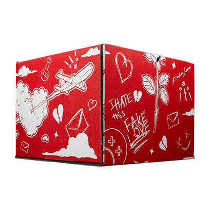 Full Set Fake Love (caja, cubre polvo y llavero) - Cincopunto7