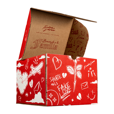Full Set Fake Love (caja, cubre polvo y llavero) - Cincopunto7