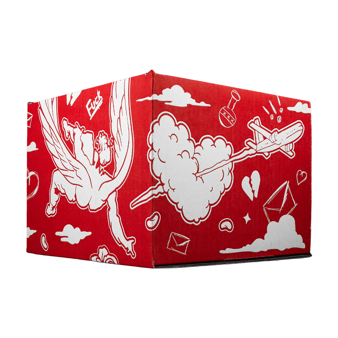 Full Set Fake Love (Caja,cubre polvo y llavero) - Cincopunto7