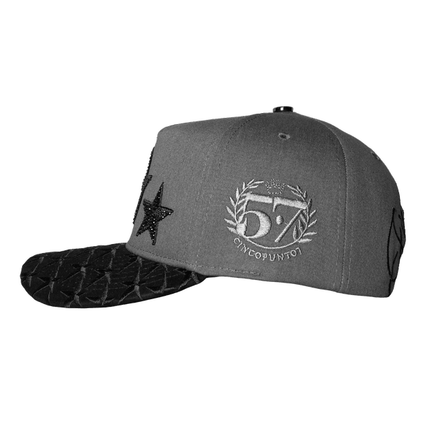 Gorra FVSVN Stars Luxury Gray - Cincopunto7