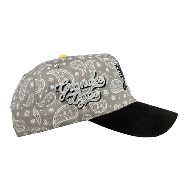 Grandes Ligas Beisbol Paliacate - Cincopunto7