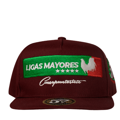 Ligas Mayores Aplic Mex - Cincopunto7