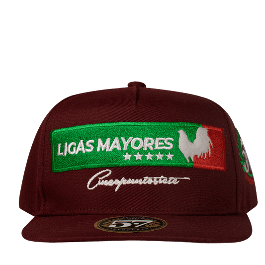 Ligas Mayores Aplic Mex - Cincopunto7
