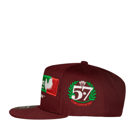 Ligas Mayores Aplic Mex - Cincopunto7