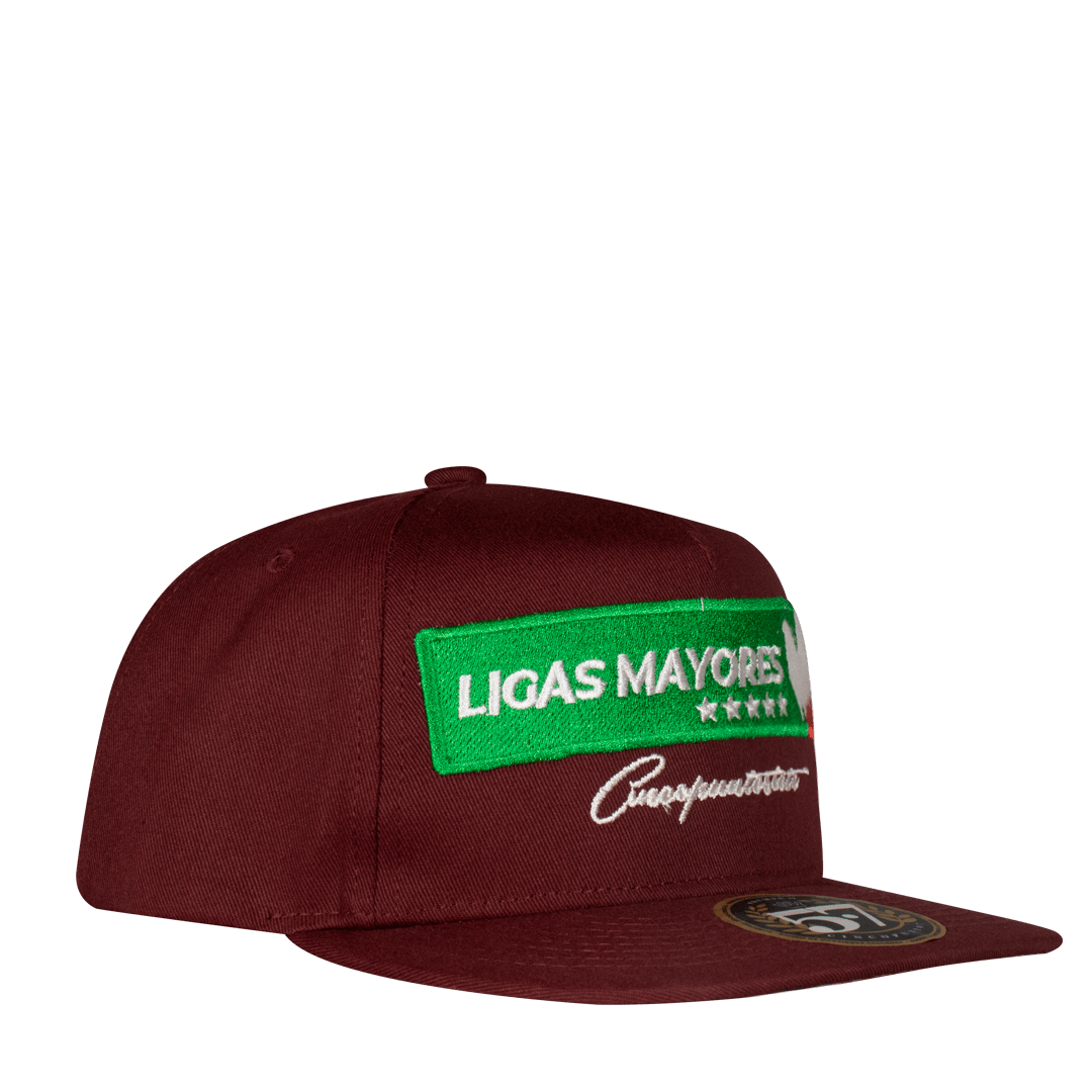 Ligas Mayores Aplic Mex - Cincopunto7