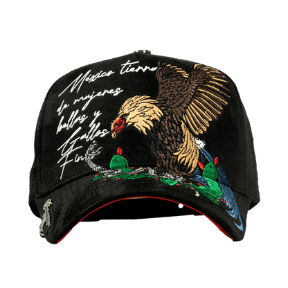 Mexico Rooster Lyrics - Cincopunto7