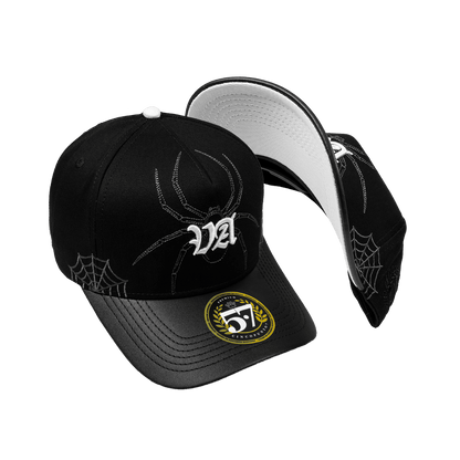 VA Spider Black Curva - Cincopunto7