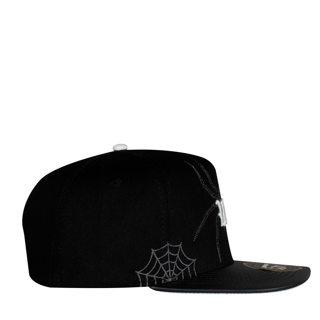 VA Spider Plana - Cincopunto7
